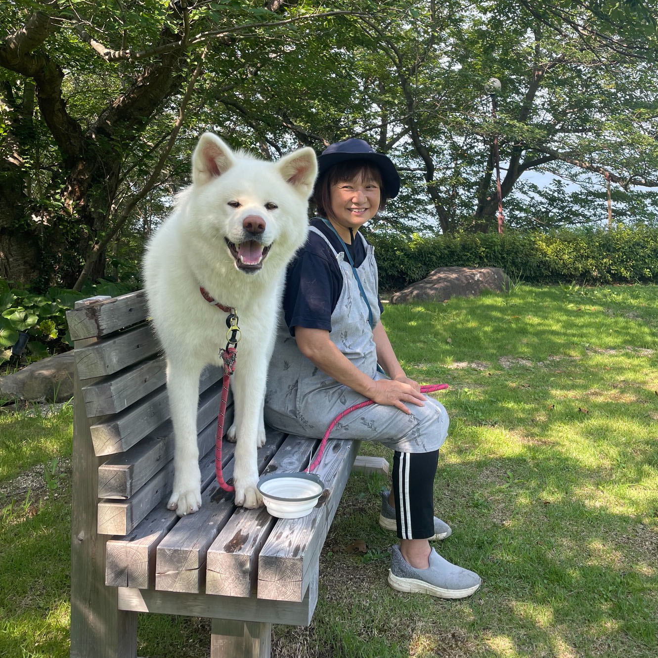 ホバー画像
