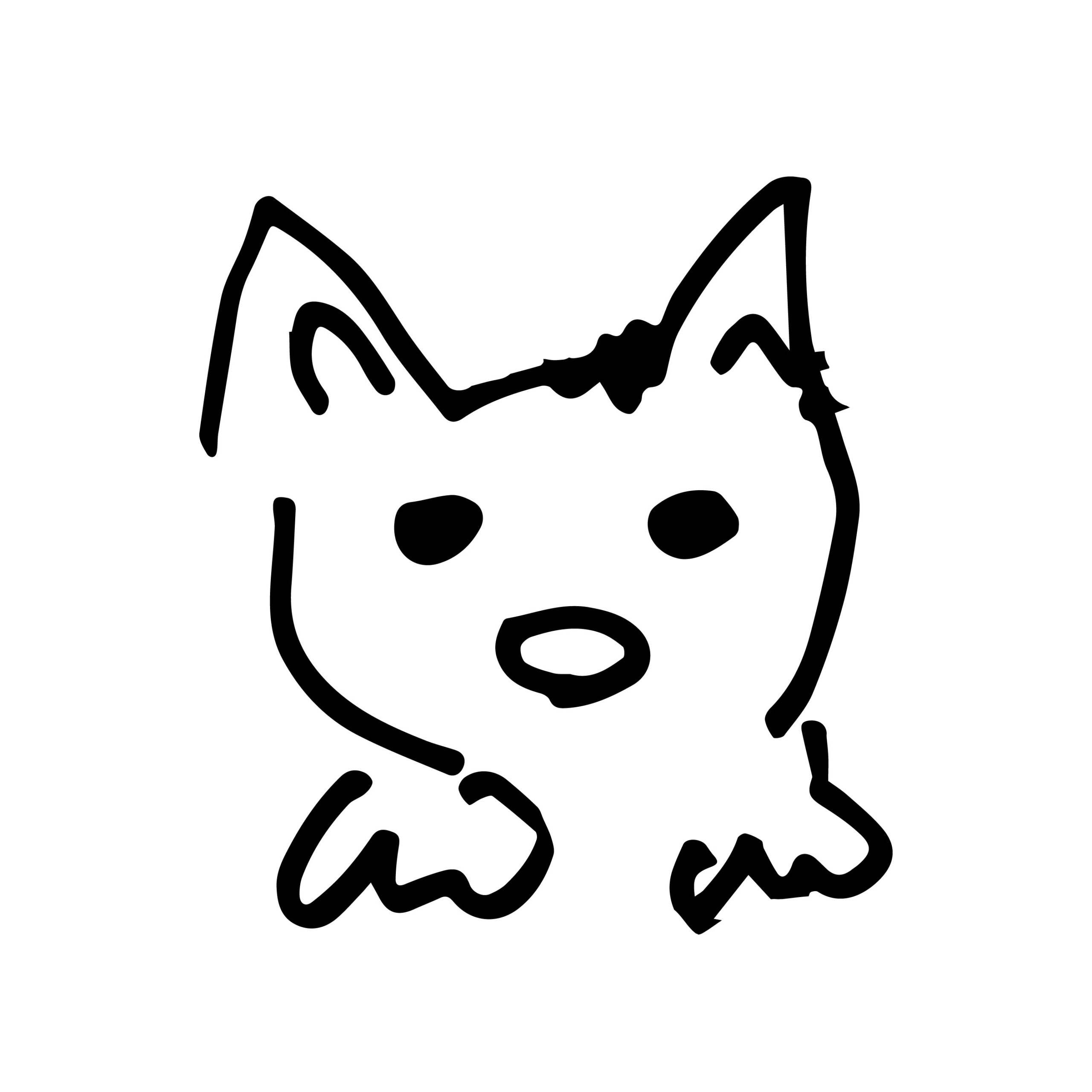 通常画像